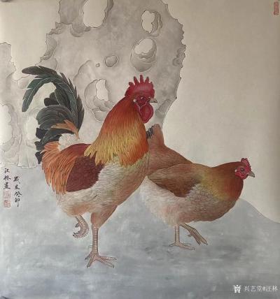 汪林日记-国画工笔花鸟画鸡系列作品欣赏。葵卯年汪林工笔画。【图1】